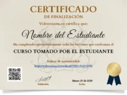 certificado-6b
