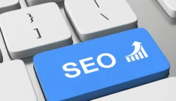 curso de seo
