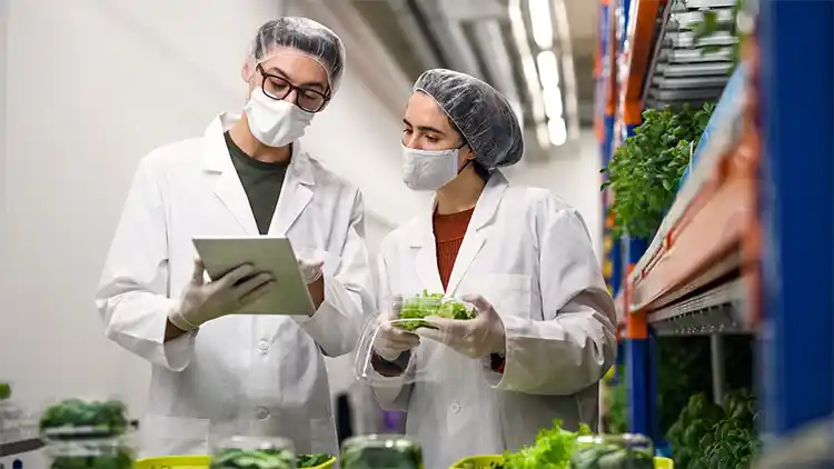 estudio seguridad alimentaria