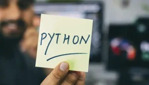 que es python